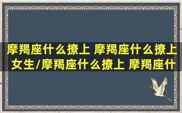 摩羯座什么撩上 摩羯座什么撩上女生/摩羯座什么撩上 摩羯座什么撩上女生-我的网站